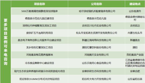 銅仁節(jié)能評估 專家團隊領航，開發(fā)項目精益求精