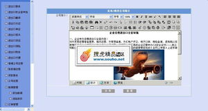專(zhuān)業(yè)進(jìn)出口服務(wù)公司整站解決方案 美工大氣后臺(tái)完整，精品源碼共享